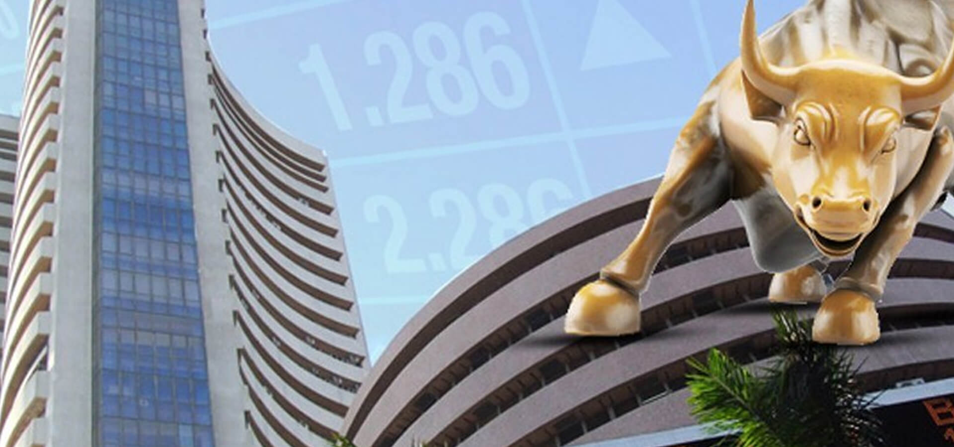 Trade King Online Classes